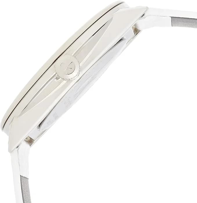 Profil de la montre Calvin Klein K2Y211K6, boîtier argent