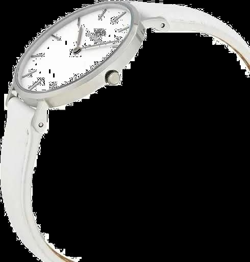 Profil de la montre Daniel Wellington DW00100190, boîtier argent