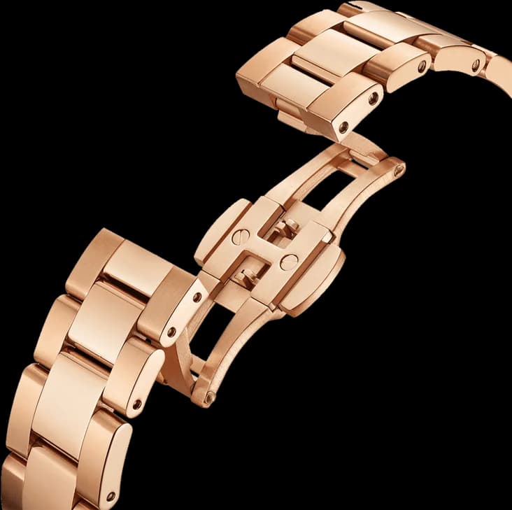 Bracelet acier de la montre Daniel Wellington DW00100370