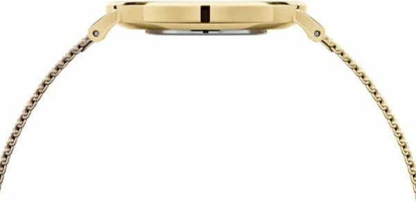 Cadran vert de la montre Daniel Wellington DW00100481 en détail