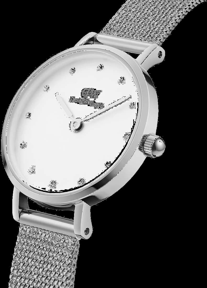 Profil de la montre Daniel Wellington DW00100602, boîtier argent