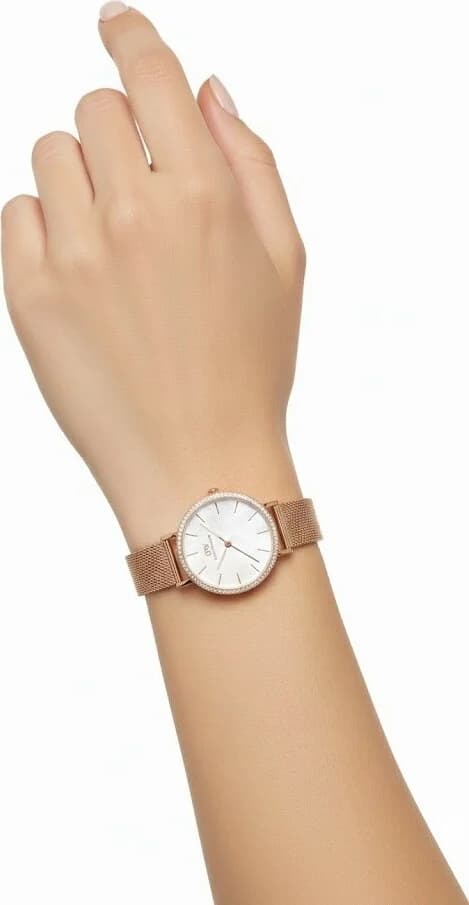 Profil de la montre Daniel Wellington DW00100673, boîtier or rose