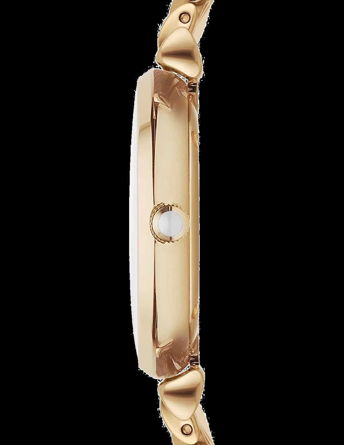 Profil de la montre Emporio Armani AR1907, boîtier or