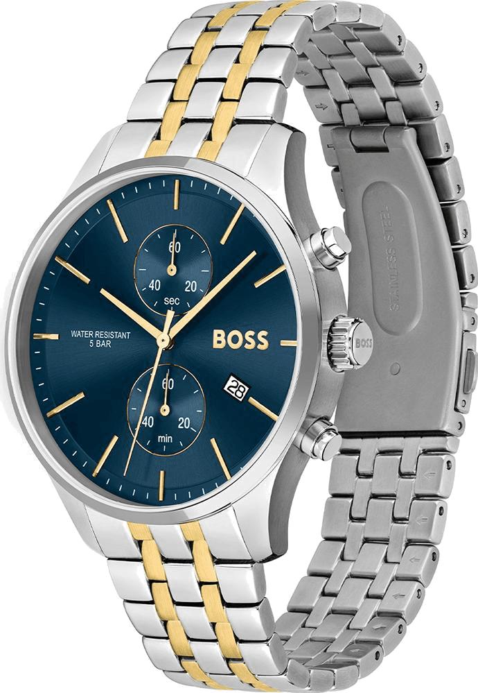 Profil de la montre Hugo Boss 1513976, boîtier argent