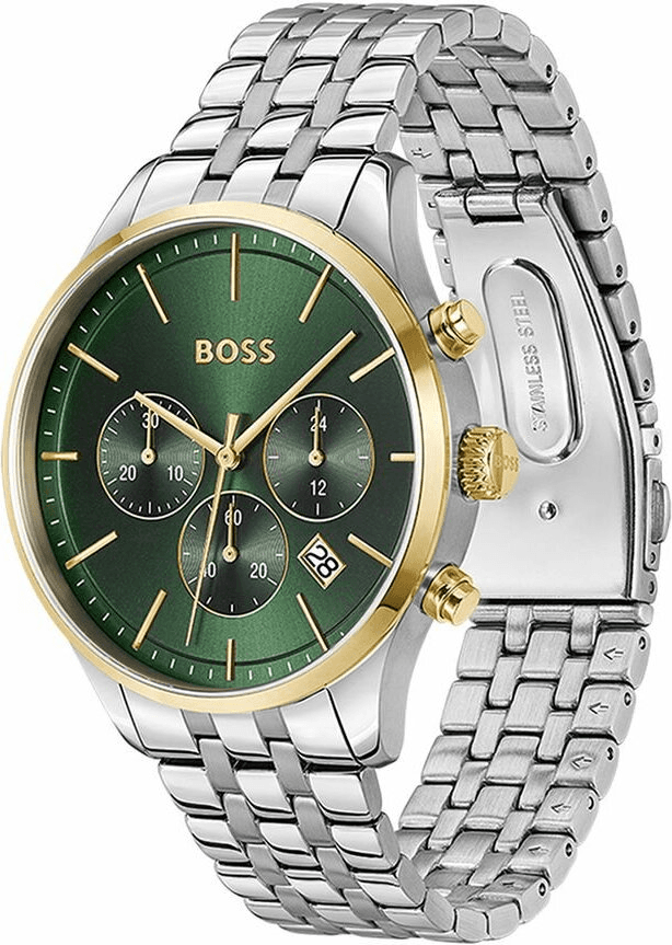 Profil de la montre Hugo Boss 1514159, boîtier bicolore