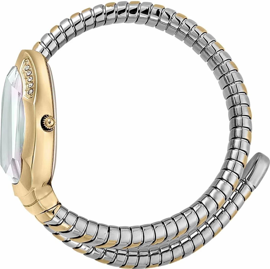 Montre Just Cavalli JC1L208M0065 femme détail cadran nacre