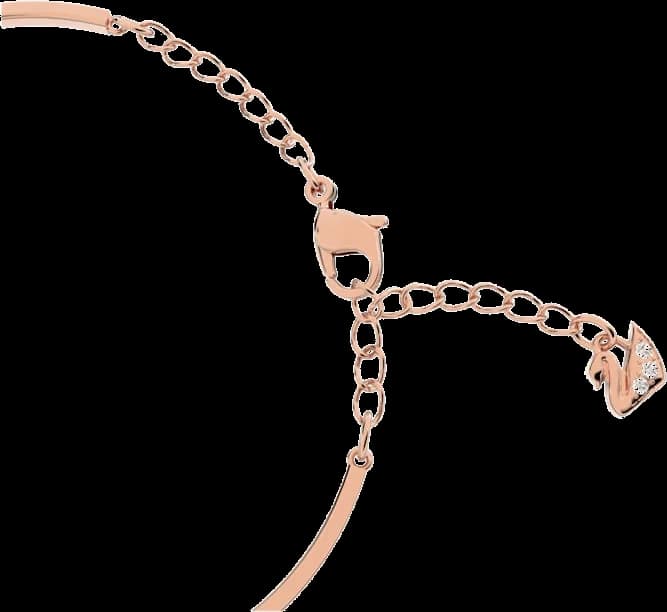 Profil de la montre Swarovski 5171991