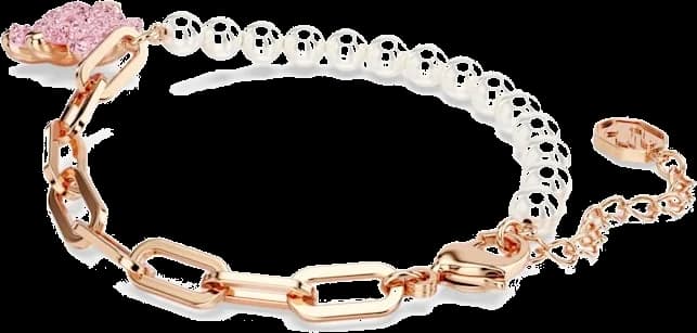 Profil de la montre Swarovski 5669169