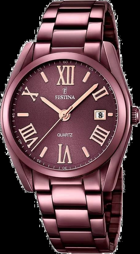 Montre Festina F16865/1 en acier avec cadran marron et index dorés, style élégant et classique