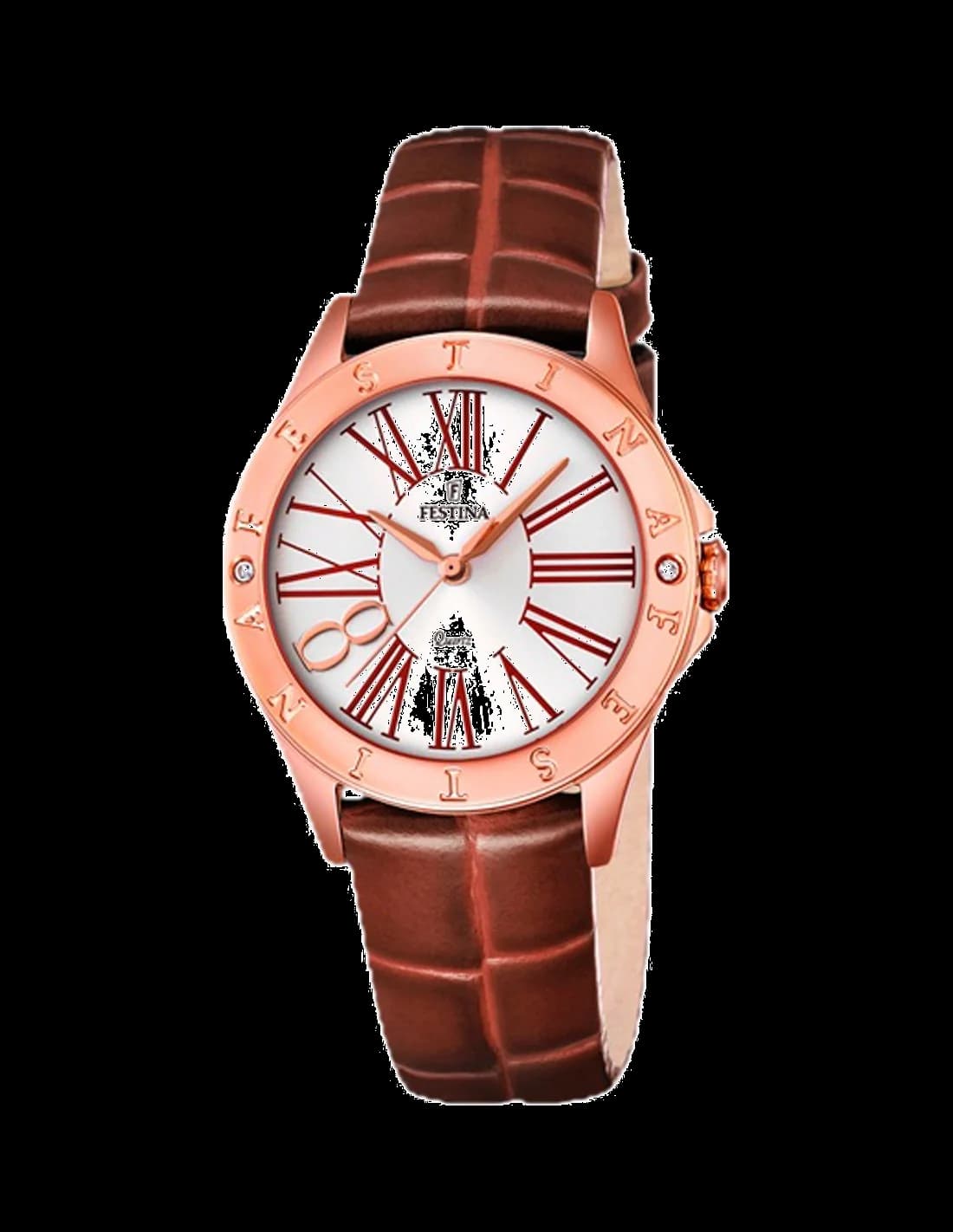 Montre Festina F16930/3 au cadran marron soleillé et boîtier en acier, design élégant et raffiné