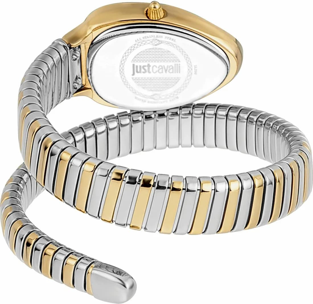 Montre Just Cavalli JC1L208M0065 Bicolore Cadran Nacre vue 2