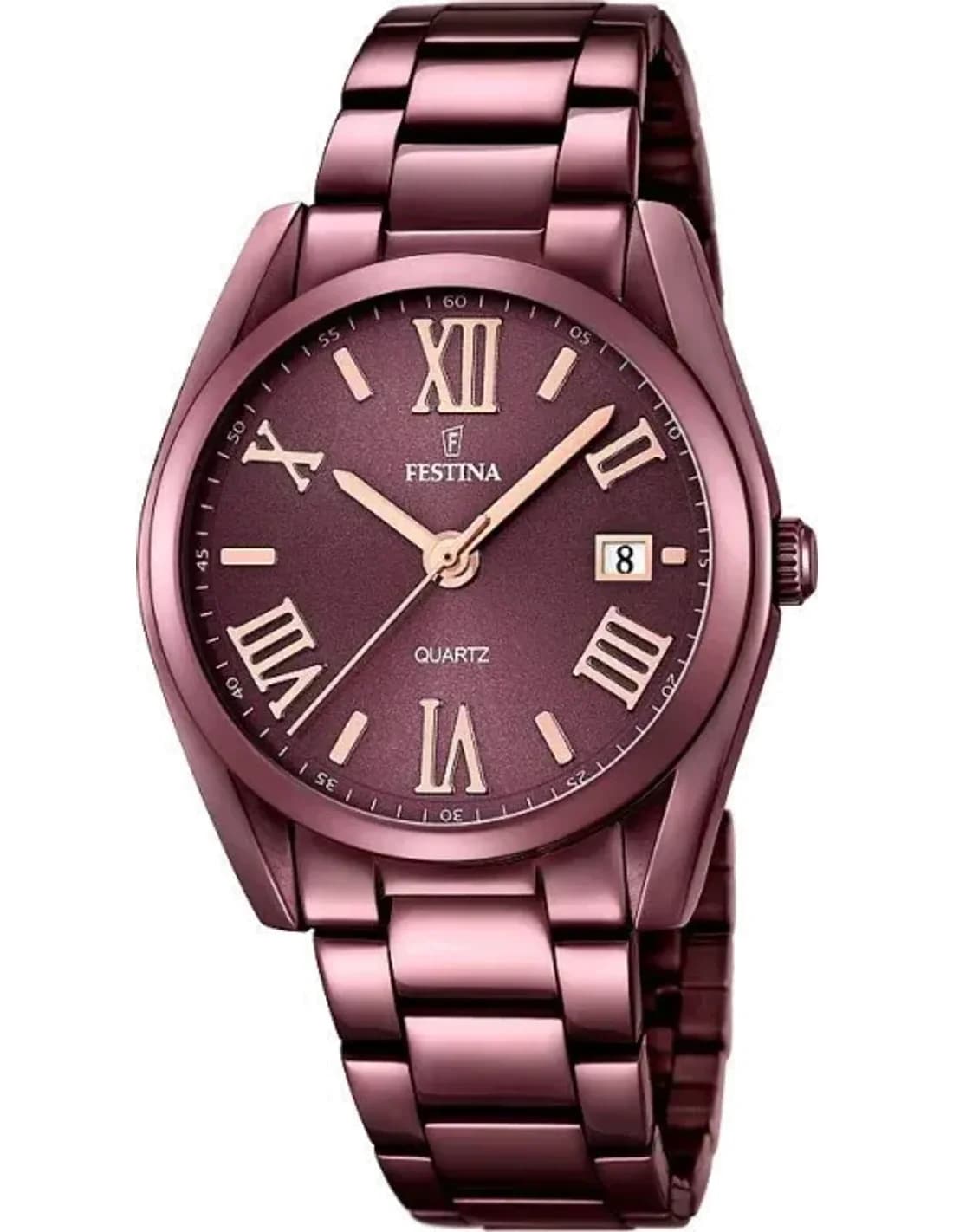 Montre Femme Festina F16865/1 Violet en acier