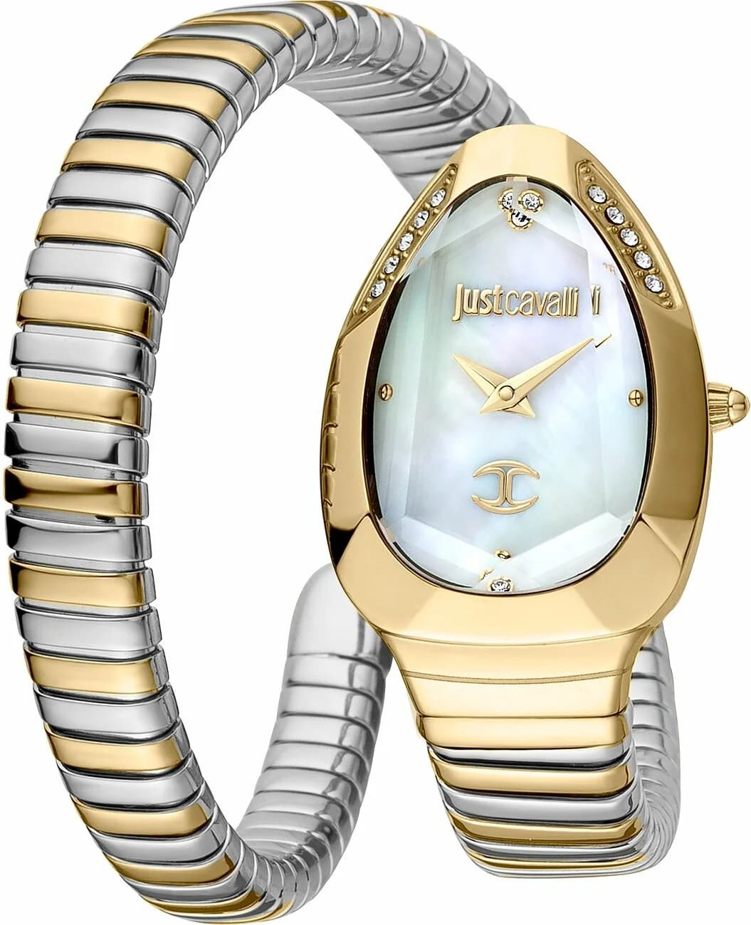 Montre Just Cavalli JC1L208M0065 Bicolore Cadran Nacre